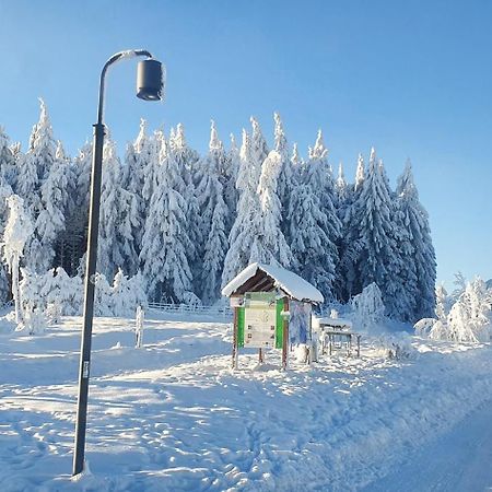 Apartmán Haus Schneider Winterberg Exteriér fotografie