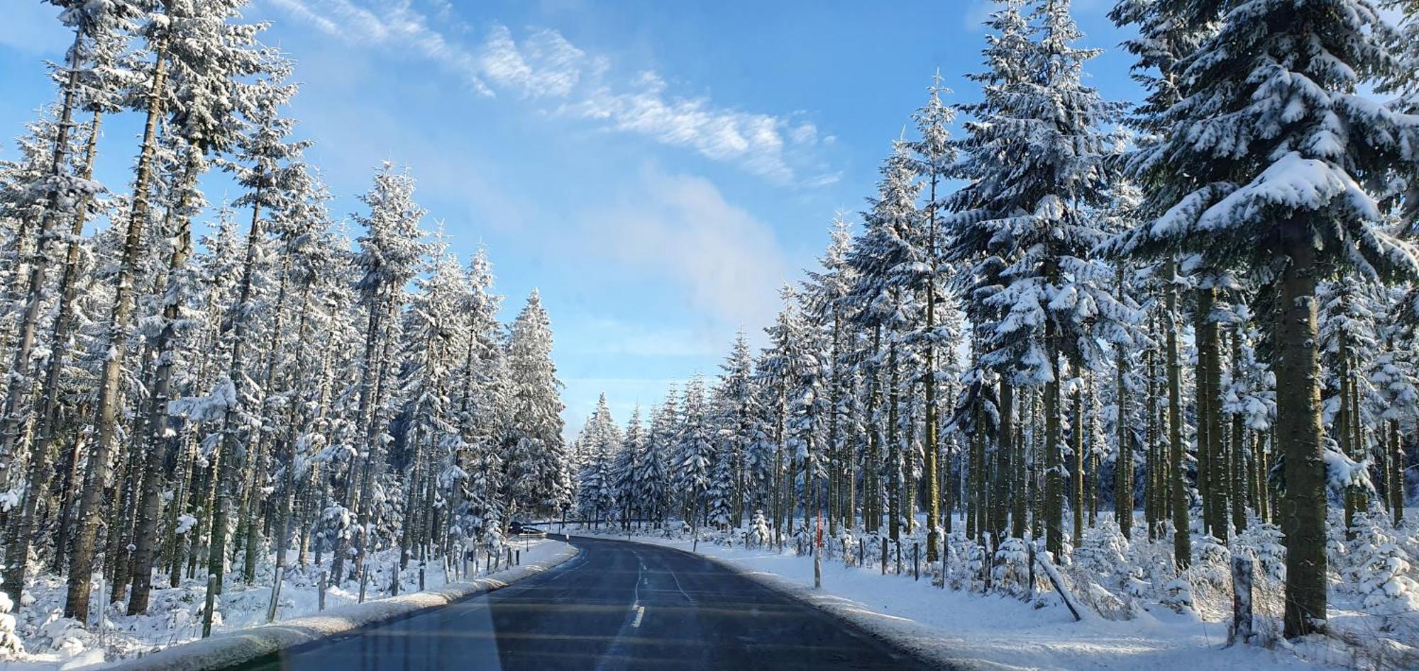 Apartmán Haus Schneider Winterberg Exteriér fotografie